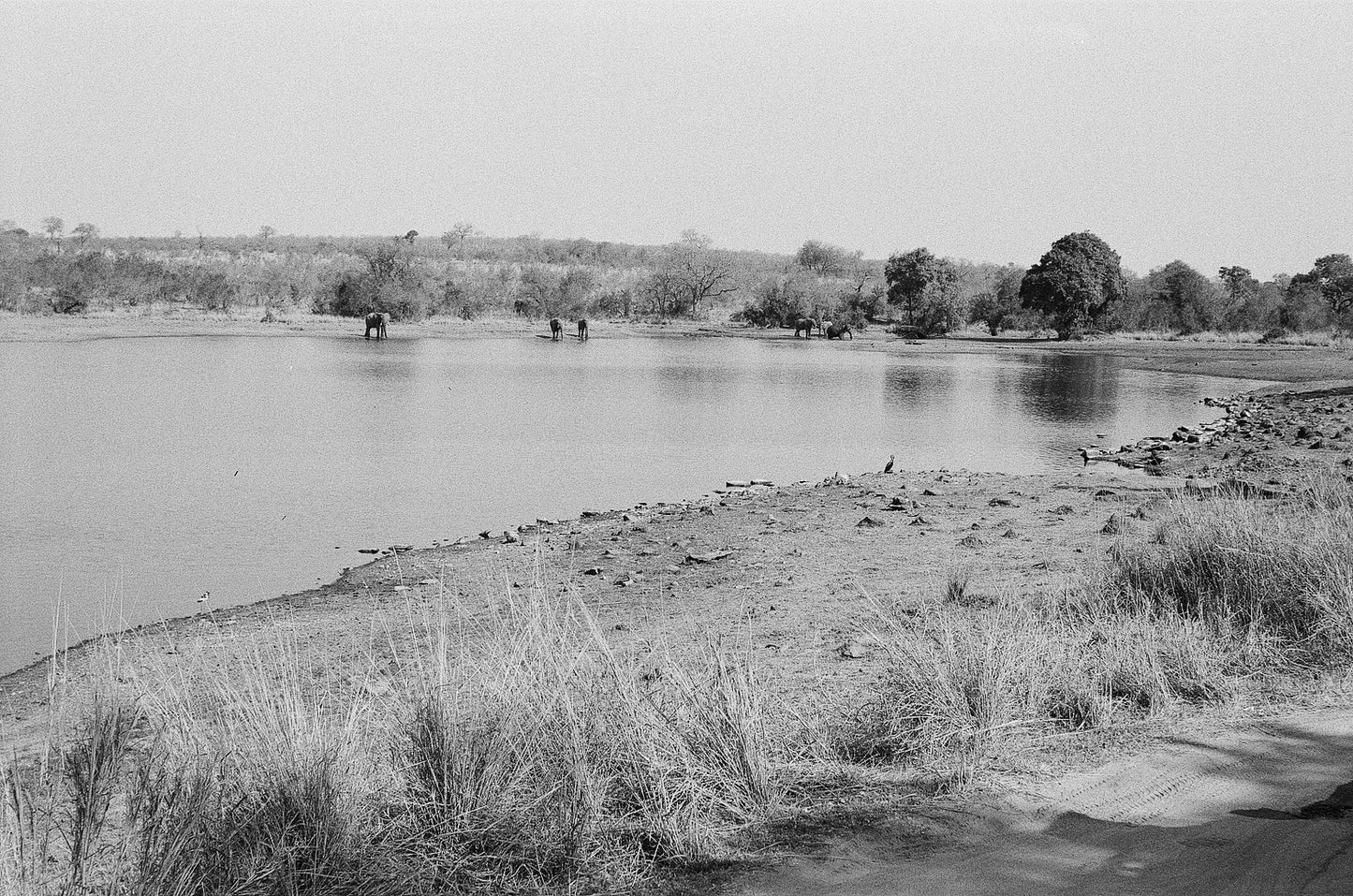 Water point